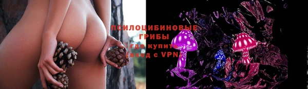 jwh Костерёво