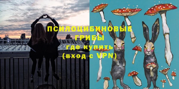 гидропоника Коряжма