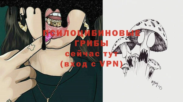 гидропоника Коряжма