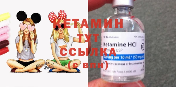 гидропоника Коряжма