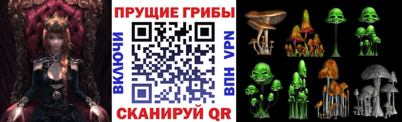 Галлюциногенные грибы прущие грибы  Купить где  Шлиссельбург 